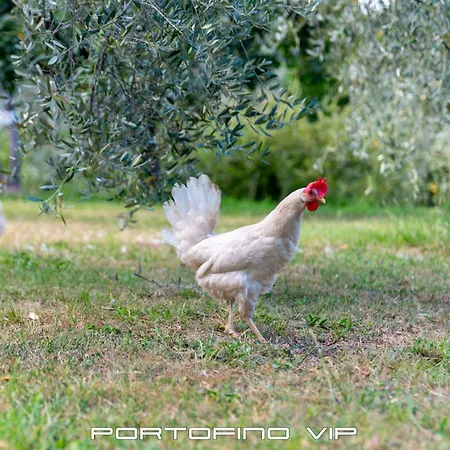 Casetta Nozarego By Portofinovip Apartamento